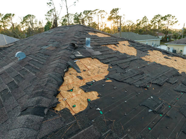 Best Asphalt Shingle Roofing  in Mingo Junction, OH