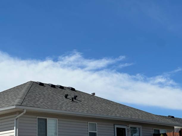 Best Metal Roofing Installation  in Mingo Junction, OH